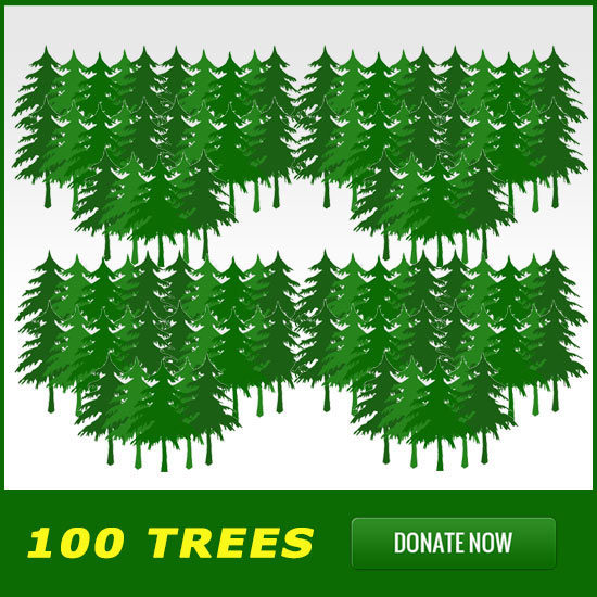 100 Trees