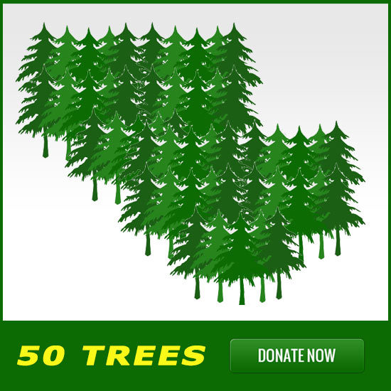 50 Trees