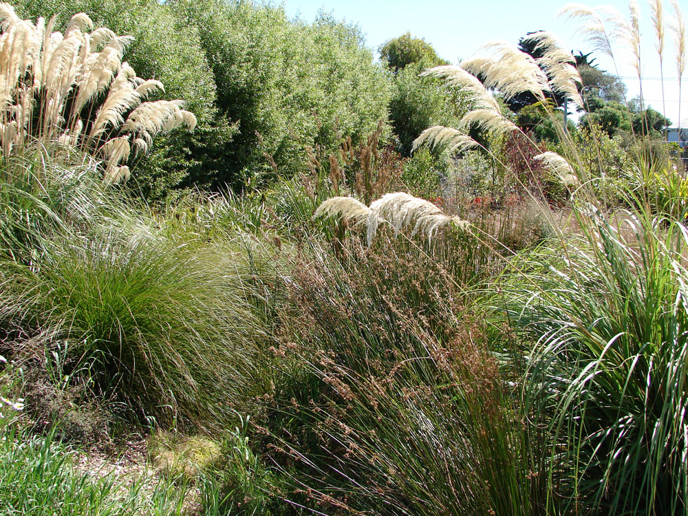 Swale area | Trees For Canterbury