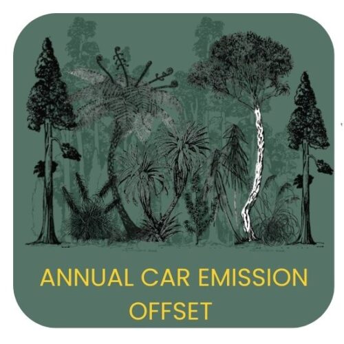 Car Emissions Carbon Offset