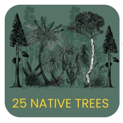 25 Trees
