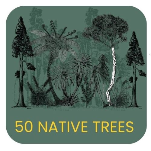 50 Trees