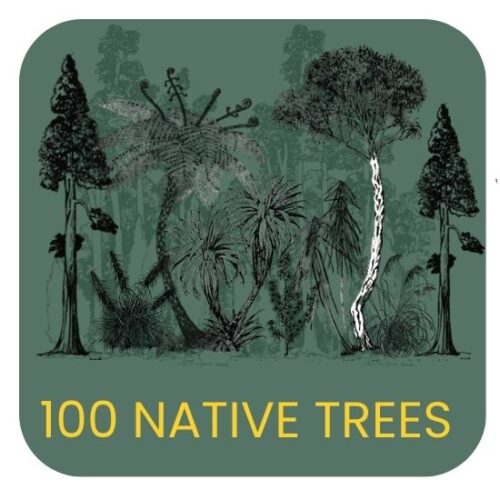 100 Trees
