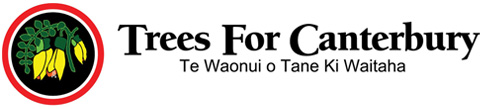 Trees For Canterbury Logo