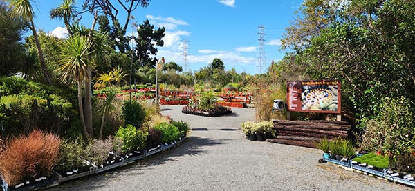 Trees For Canterbury