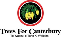 Trees For Canterbury Logo