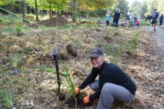 Styx Mill Conservation Reserve planting